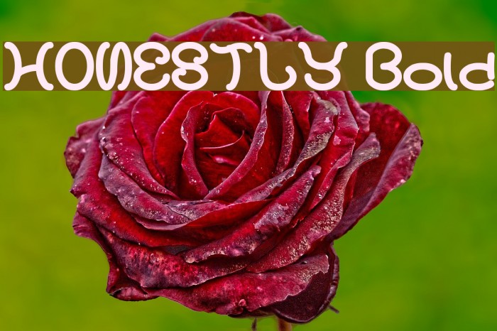 HONESTLY Bold Example 1