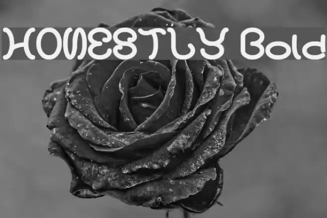 HONESTLY Bold Font examples