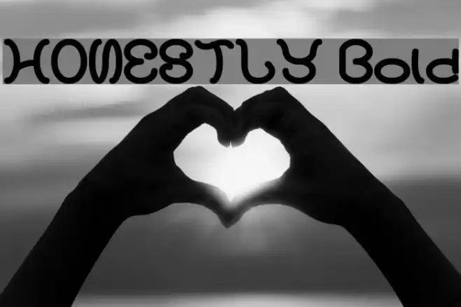 HONESTLY Bold Font examples