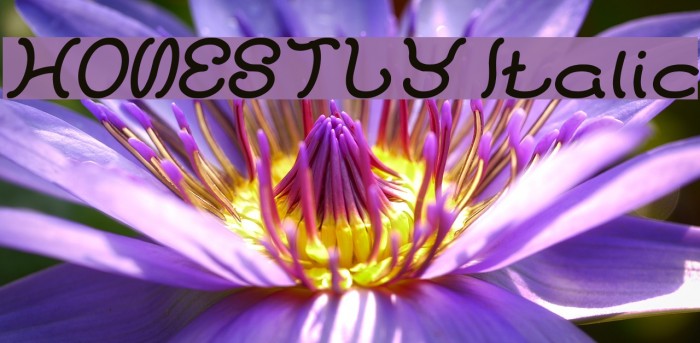 HONESTLY Italic Example 1