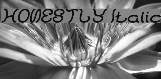 HONESTLY Italic Font examples