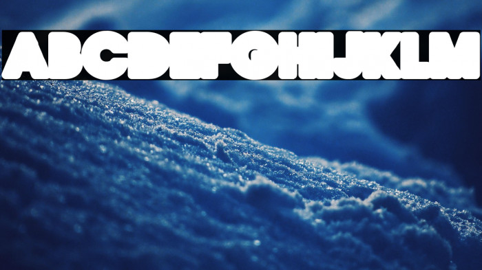 HONEYCOMB BACK PERSONAL USE Regular Example 2