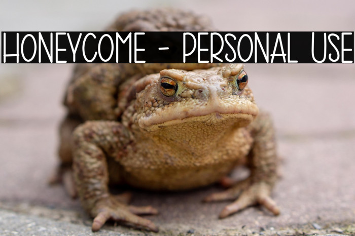 HONEYCOME - Personal Use Example 2