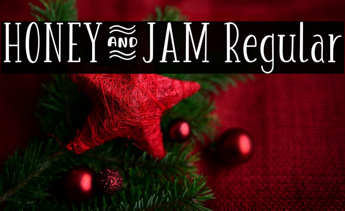 HONEY&JAM Regular Example 3