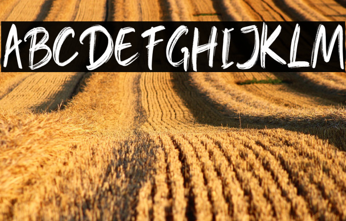 HONGKONG-Regular Example 1