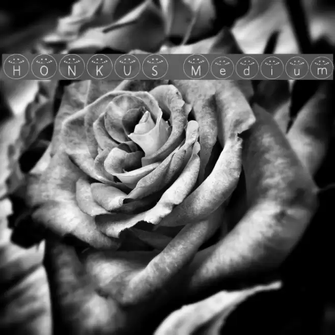 HONKUS Medium Font examples