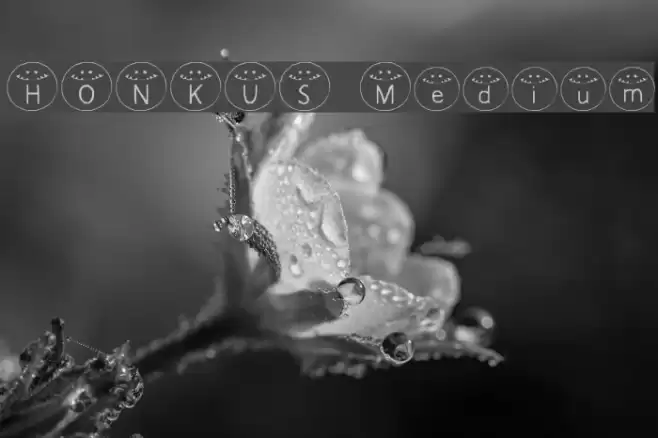 HONKUS Medium Font examples