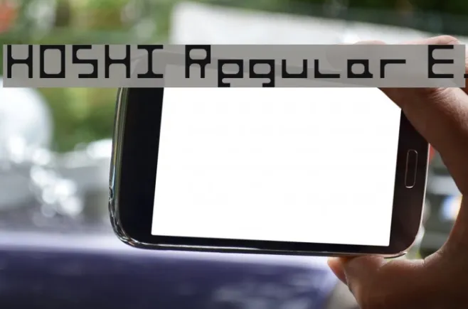 HOSHI Regular E. Example 2