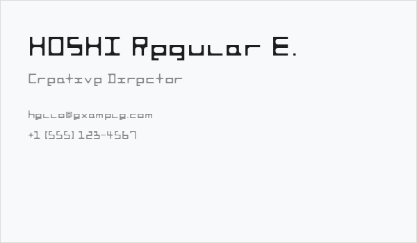 HOSHI Regular E. Business Card