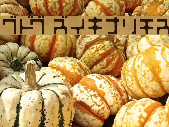 HOSHI RegularJ Font examples