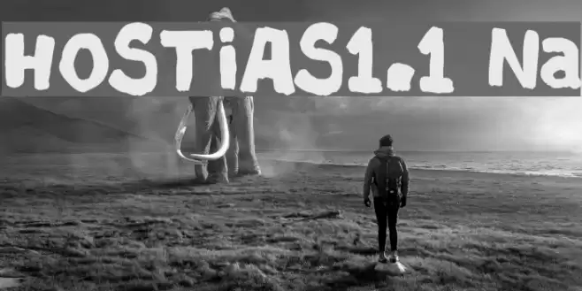 HOSTIAS1.1 Normal フォント examples