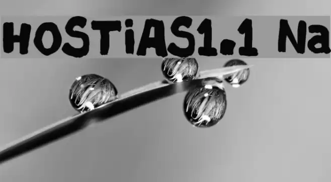 HOSTIAS1.1 Normal フォント examples