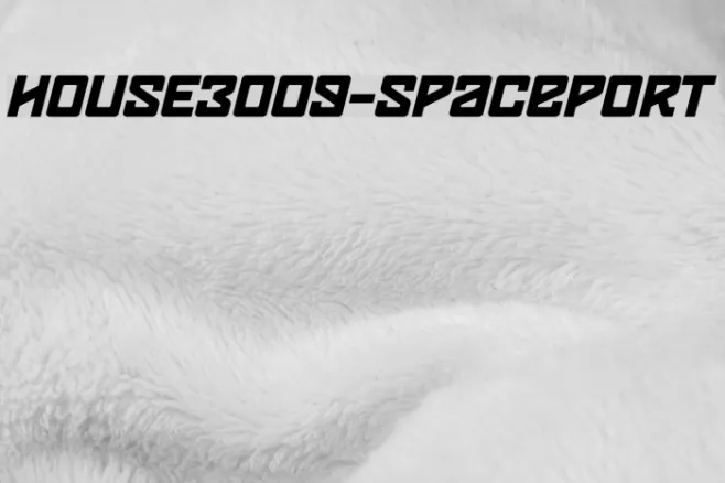 HOUSE3009-Spaceport Example 1