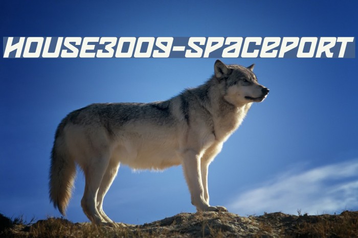 HOUSE3009-Spaceport Font examples