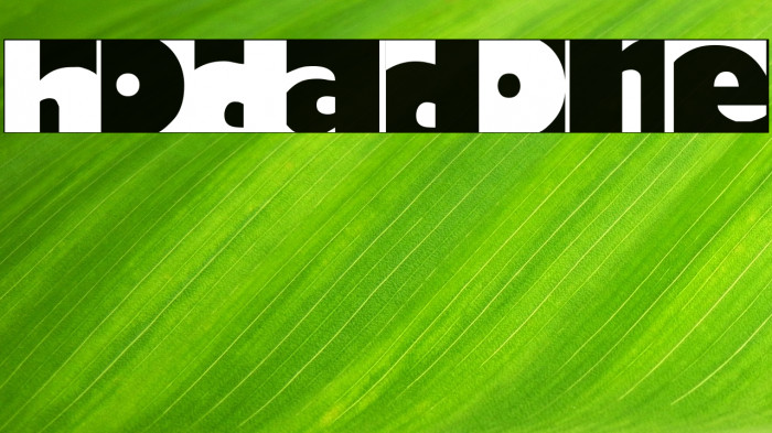 HoDadOne Font examples