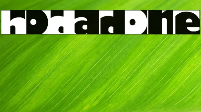 HoDadOne Example 3