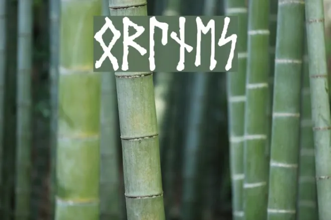 HoVrunes Example 1