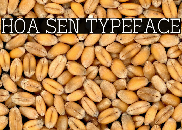 Hoa Sen Typeface Example 1