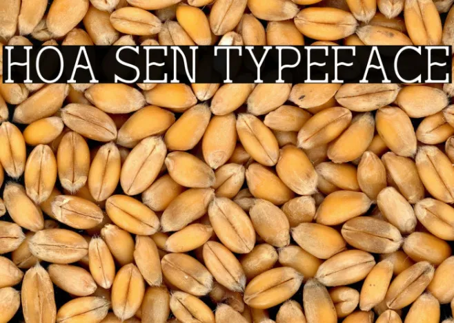 Hoa Sen Typeface Example 1