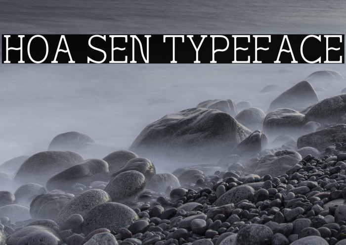 Hoa Sen Typeface Example 2