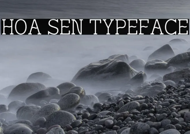 Hoa Sen Typeface Example 2