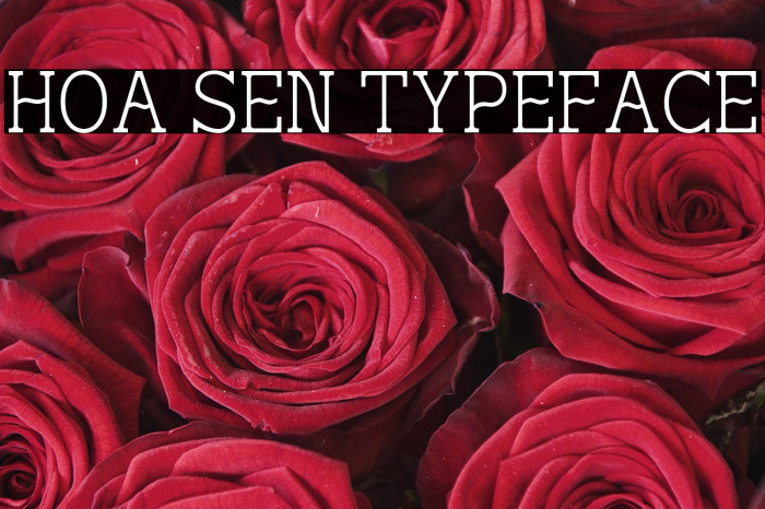 Hoa Sen Typeface Example 3
