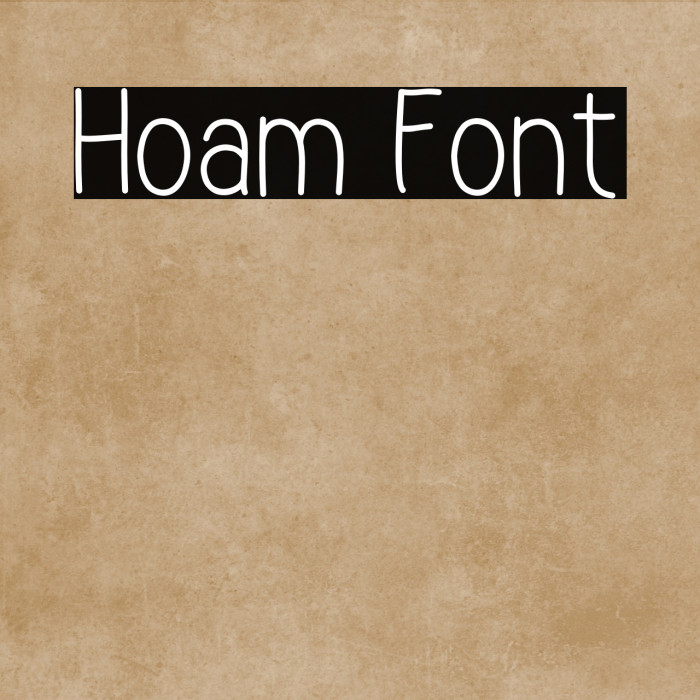 Hoam Example 1