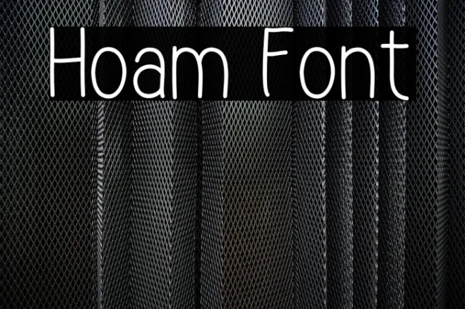 Hoam Example 2
