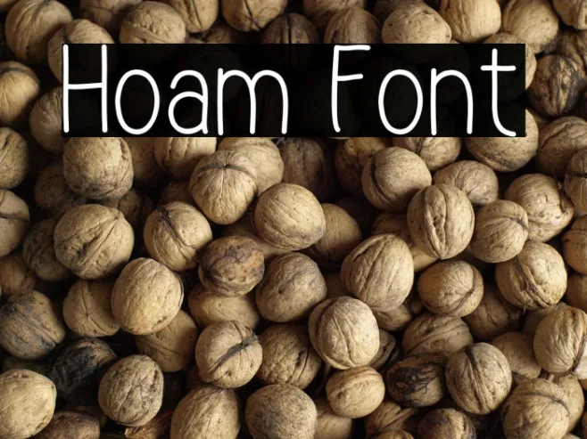 Hoam Example 3