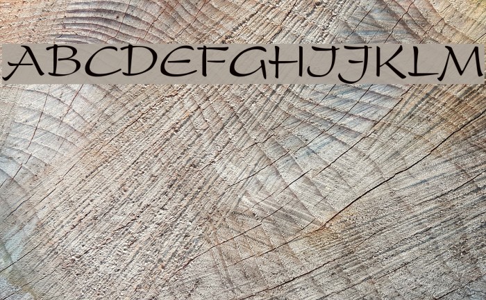 ripp-off of the Present Example 2