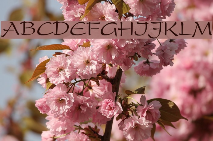 ripp-off of the Present Example 3