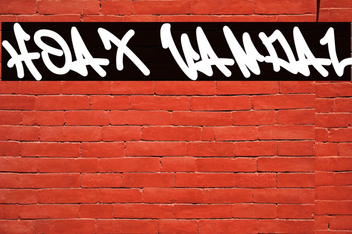 Hoax Vandal Example 3