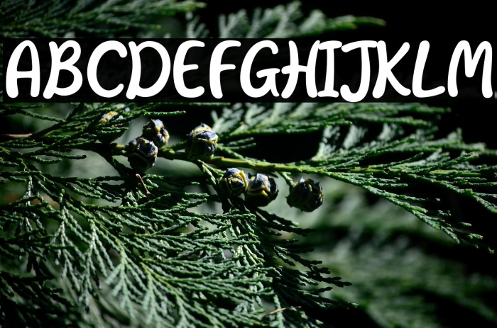 Hobbies-Regular Example 3