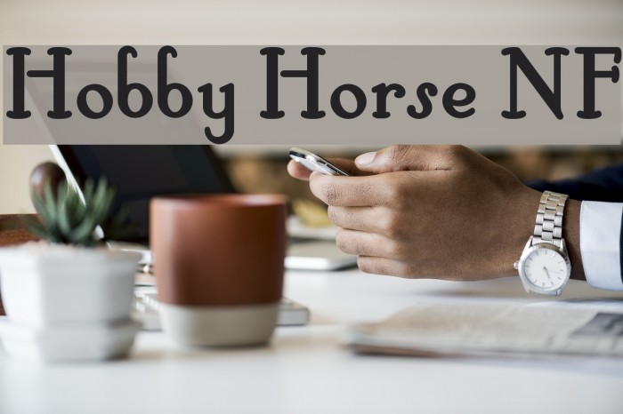 Hobby Horse NF Example 1