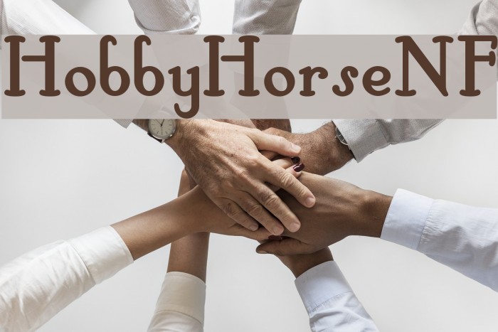 HobbyHorseNF Example 1