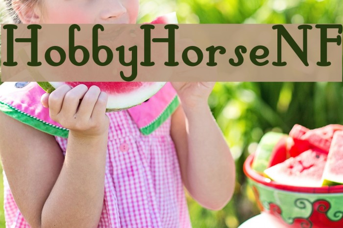 HobbyHorseNF Example 2