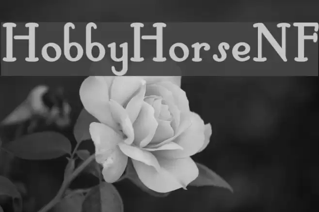 HobbyHorseNF Font examples
