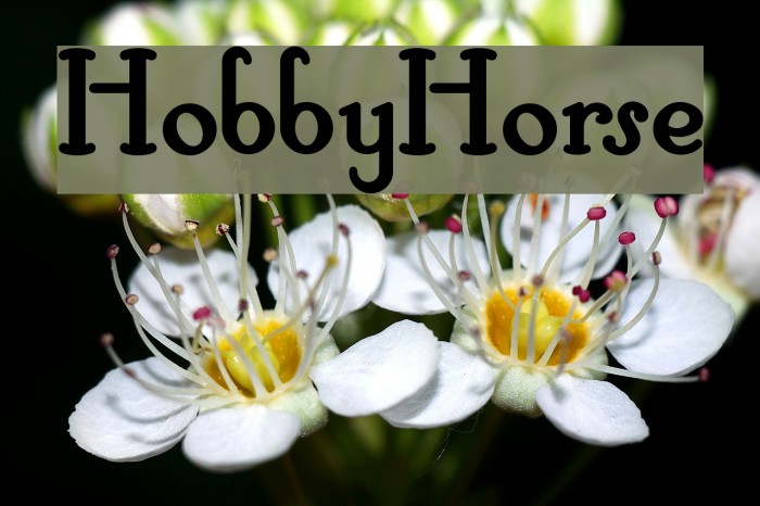 HobbyHorse Font examples
