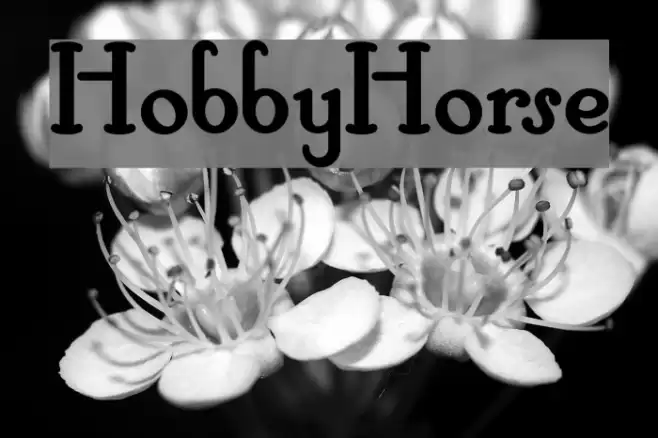 HobbyHorse Caratteri examples