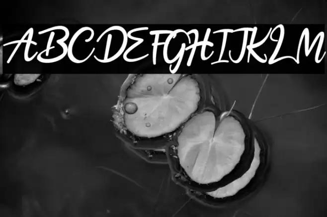 Hobenshaw Font examples