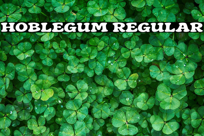 Hoblegum Regular Example 2