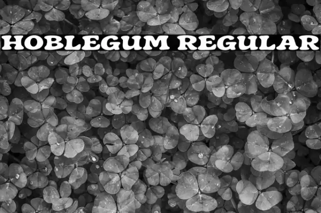 Hoblegum Regular Font examples