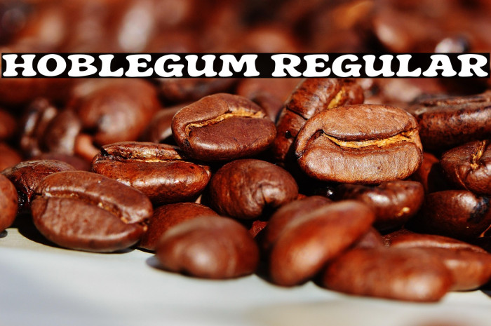 Hoblegum Regular Example 3