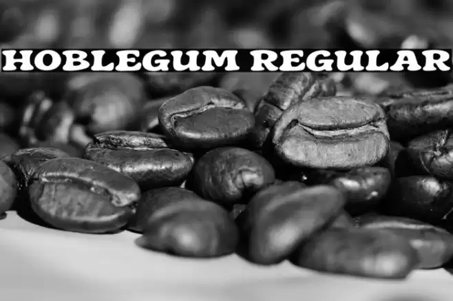 Hoblegum Regular Font examples