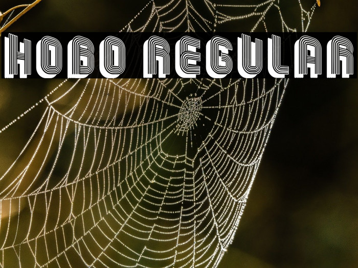 Hobo Regular Example 1