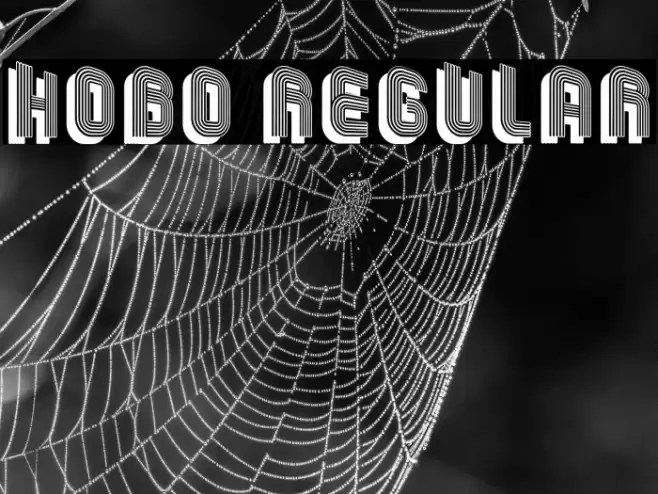 Hobo Regular Font examples