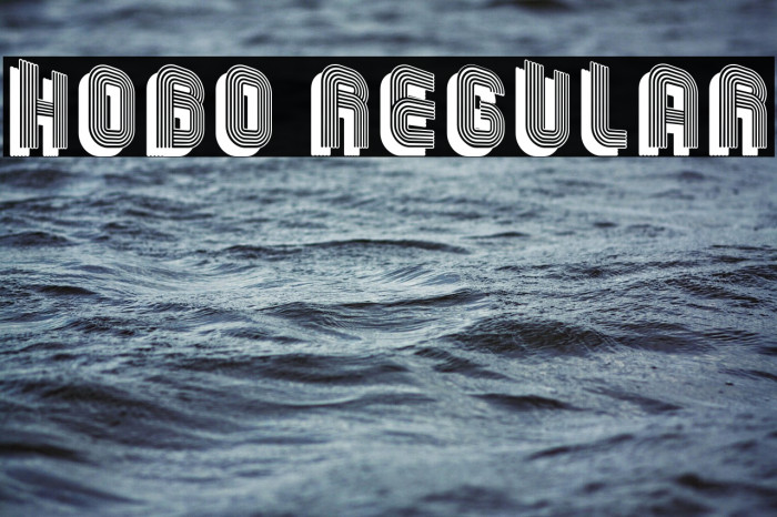 Hobo Regular Example 2
