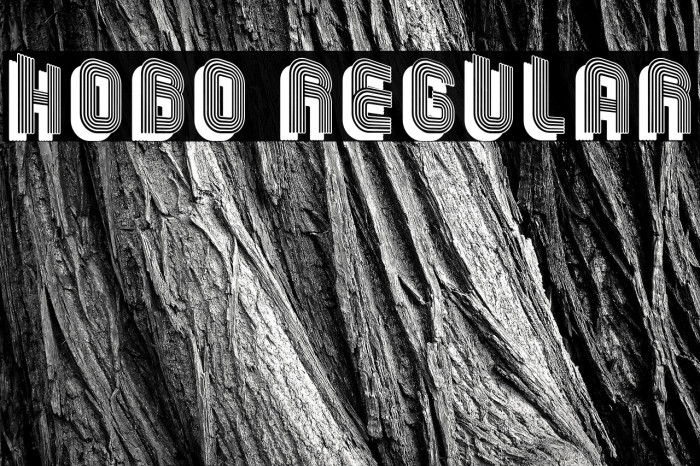 Hobo Regular Example 3