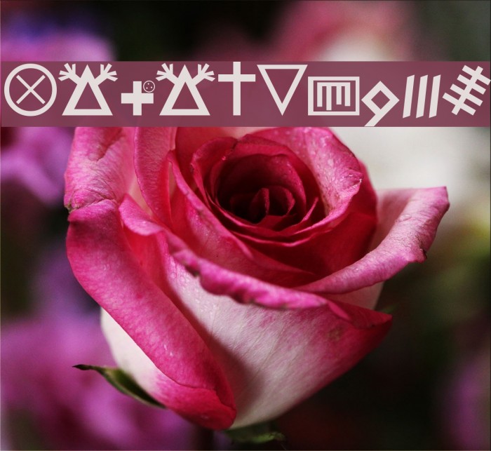 Hobo Signs Example 2