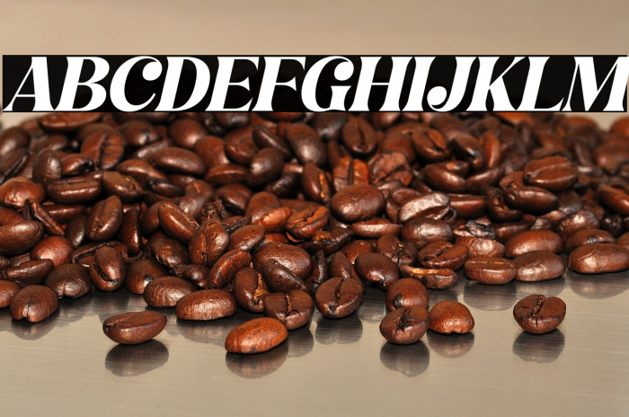 Hochagi Italic Example 1